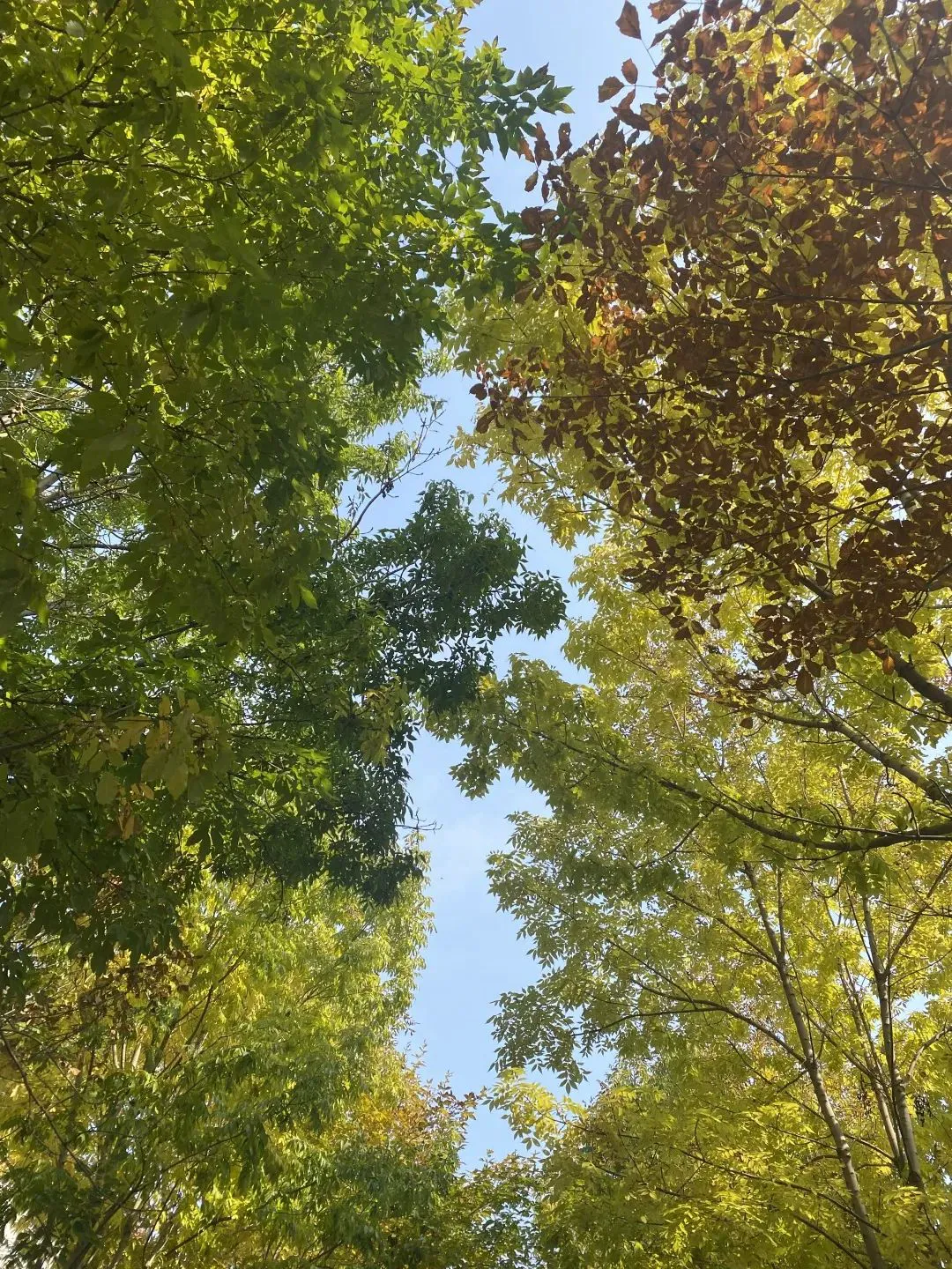 如何利用智能裁判数据提升篮球训练效果_0